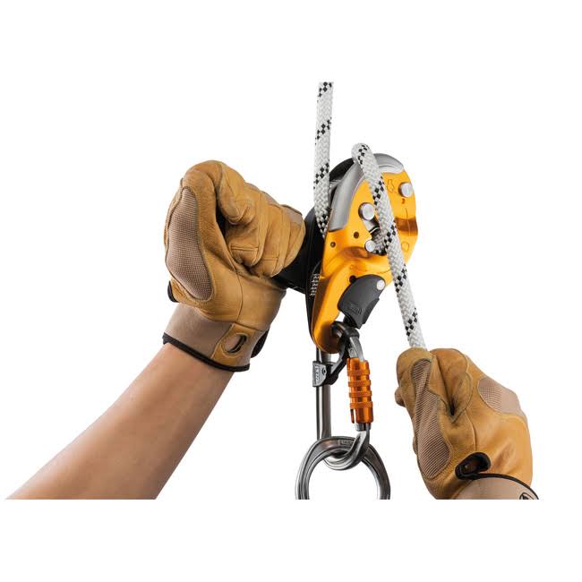Black Descender M773809