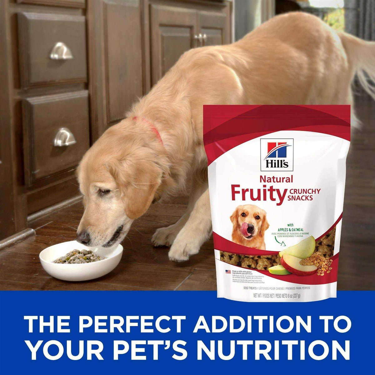 Oatmeal Dog Treats R4172