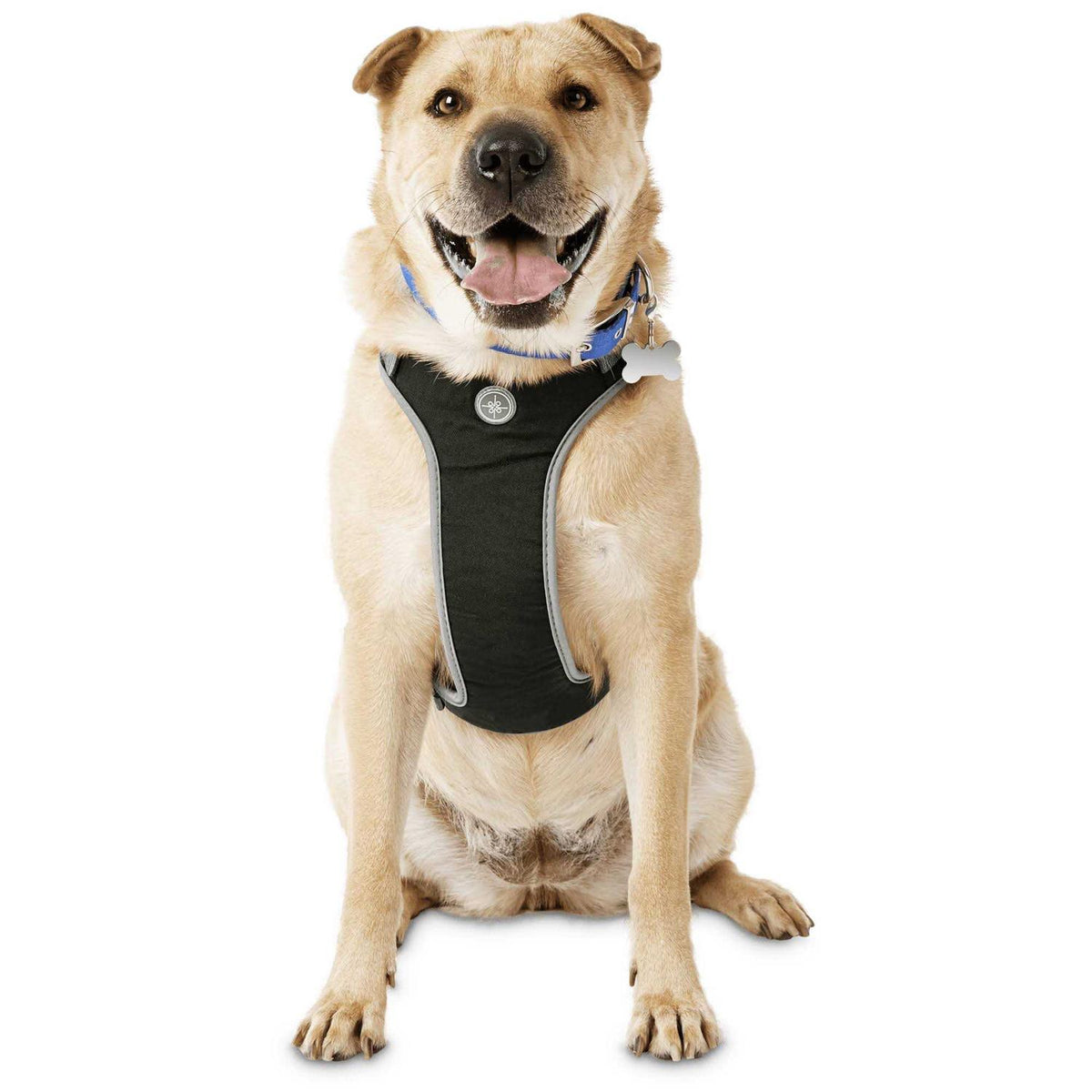 Black Large Dog Harness X68350