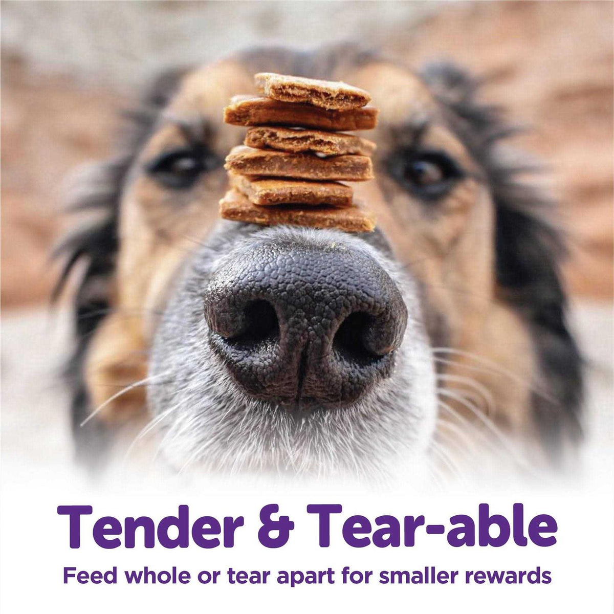 Soft Dog Treats M189532