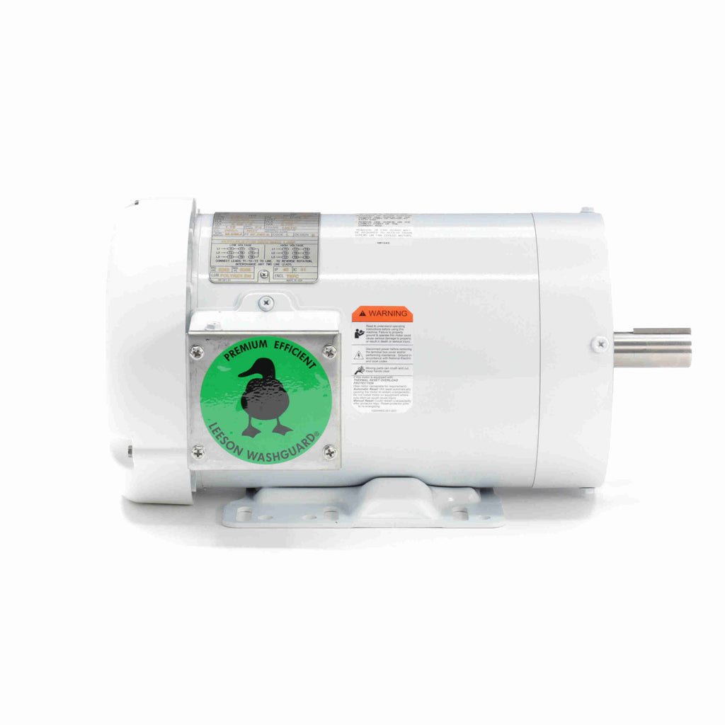 Washdown Motor V769944