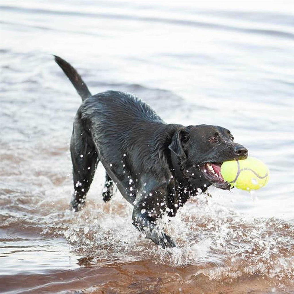 Squeaker Football P4174