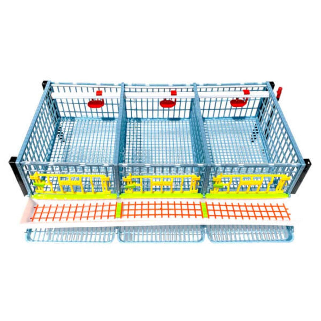 Partridge Cage 1 Layer G747877
