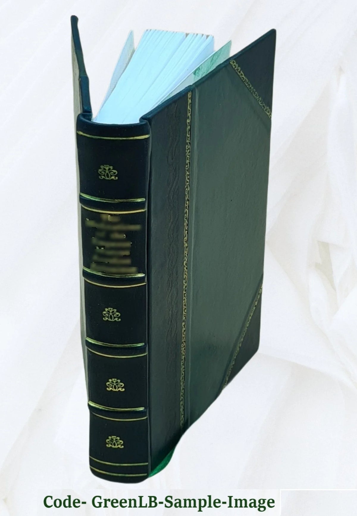 Leather Bound Book Z7226