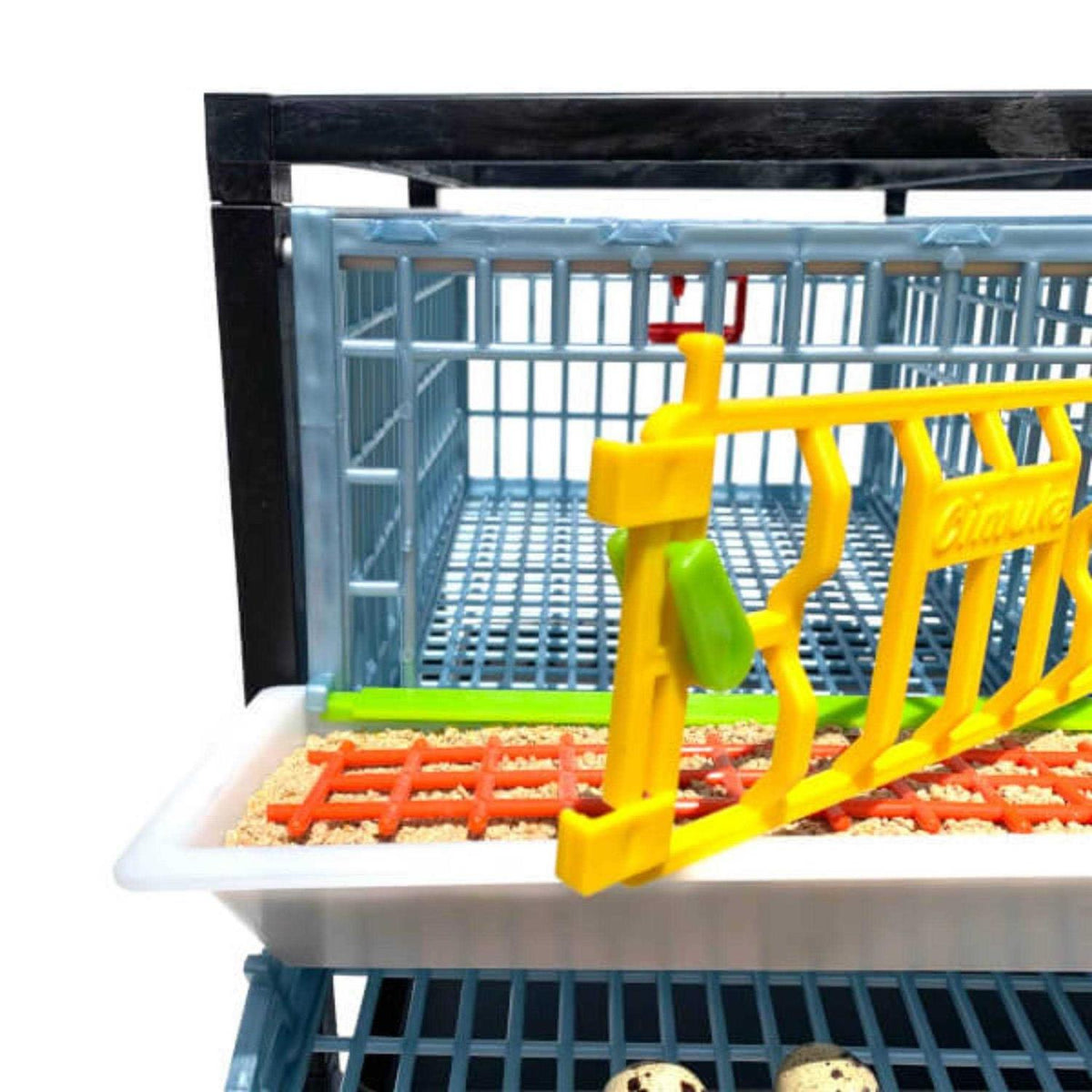 Partridge Cage 1 Layer G747877