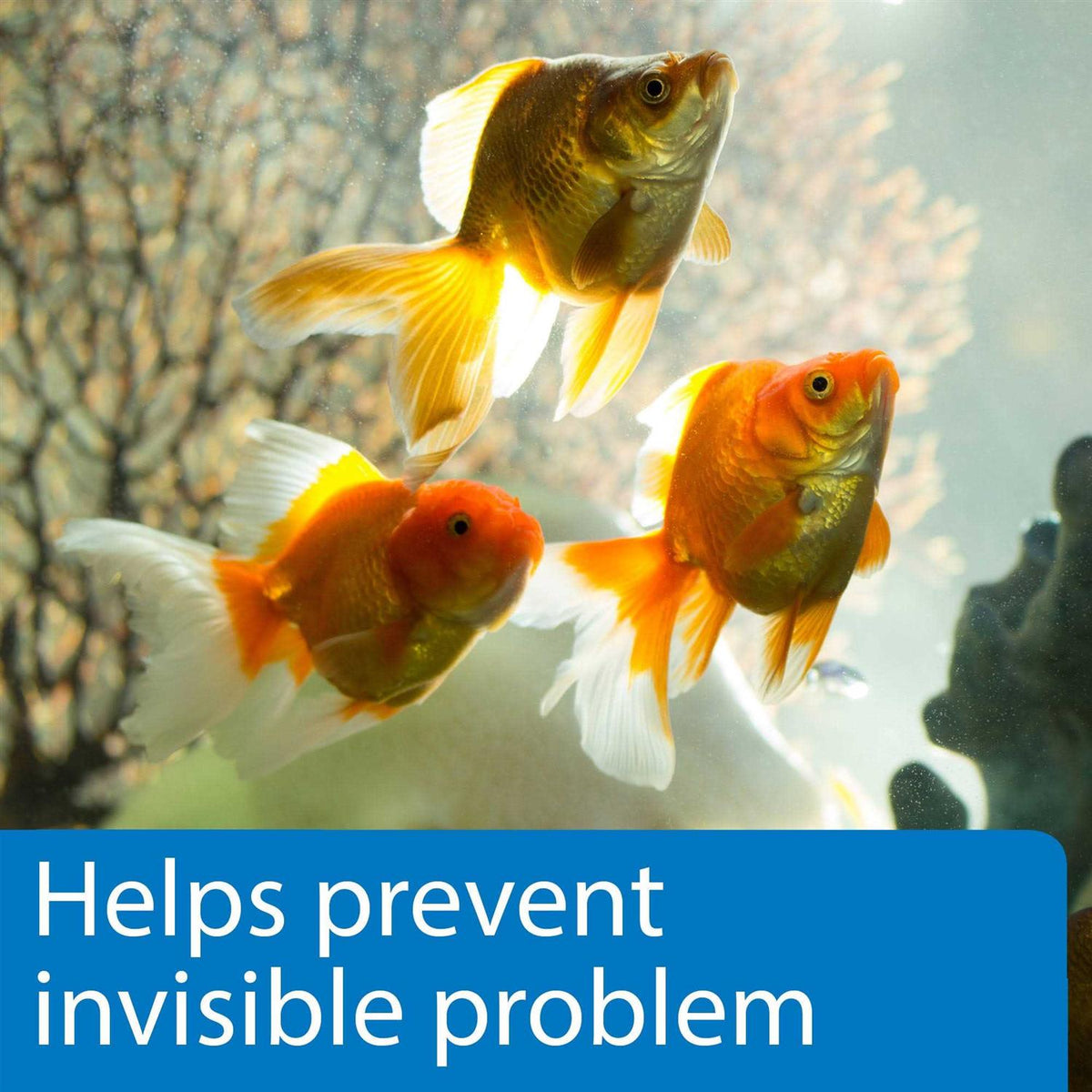 5 in 1 Aquarium Test Strips E963151