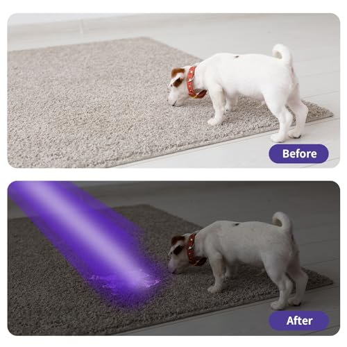 UV Black Light Flashlights, 4 Pack 395nm Mini Pen Lights with Clip, Waterproof Ultraviolet Flashlights D24723