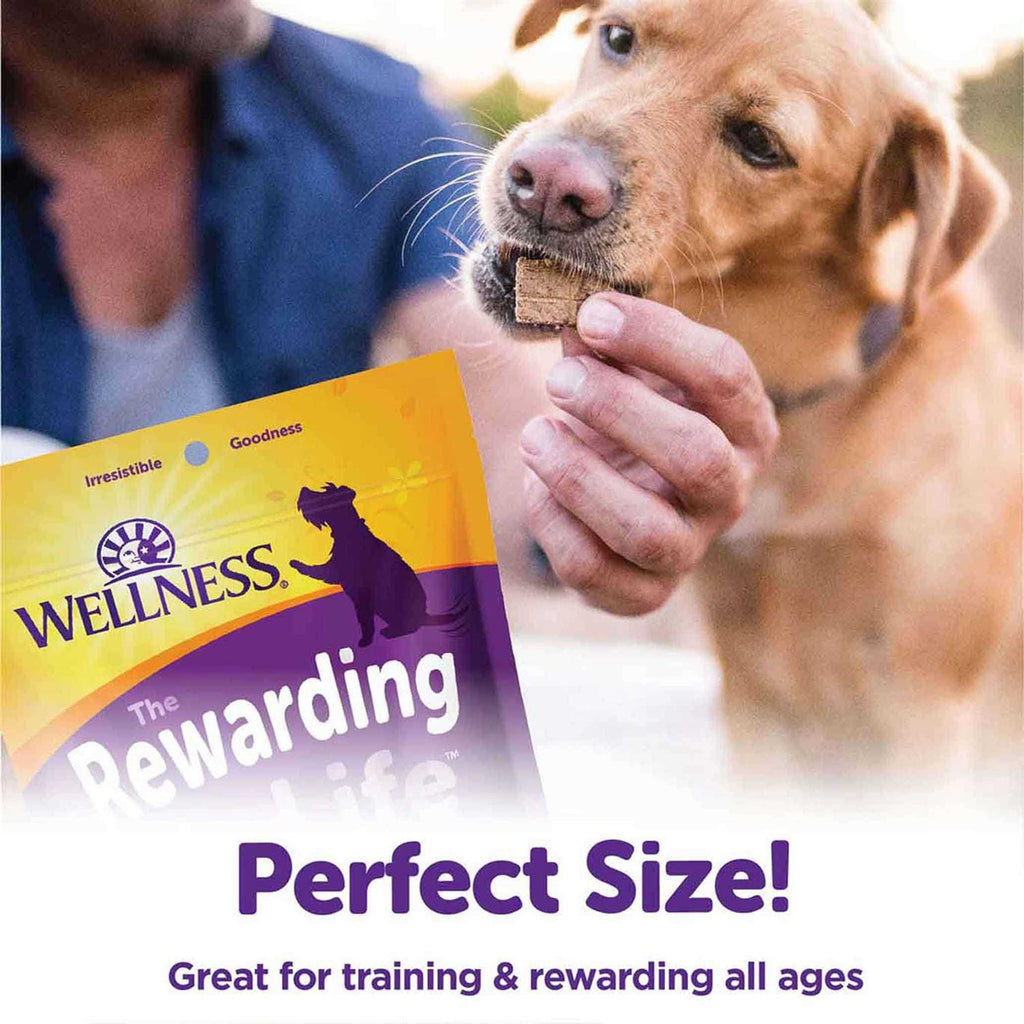 Soft Dog Treats M189532