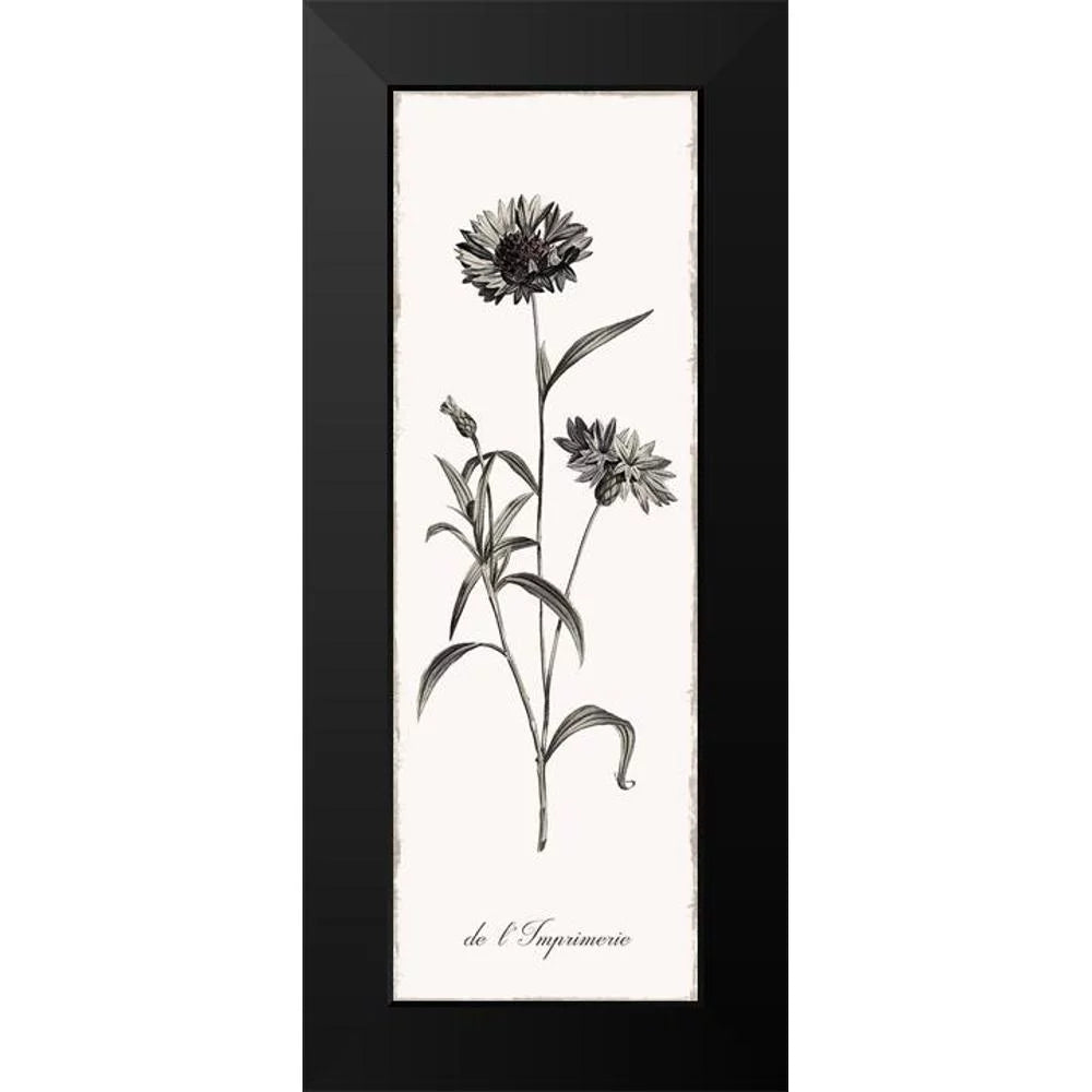Black Modern Framed Art Print S96398