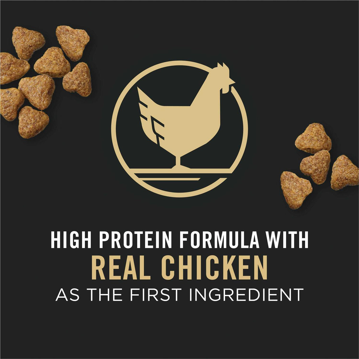 High Protein Chicken Large Breed Puppy Food X7926