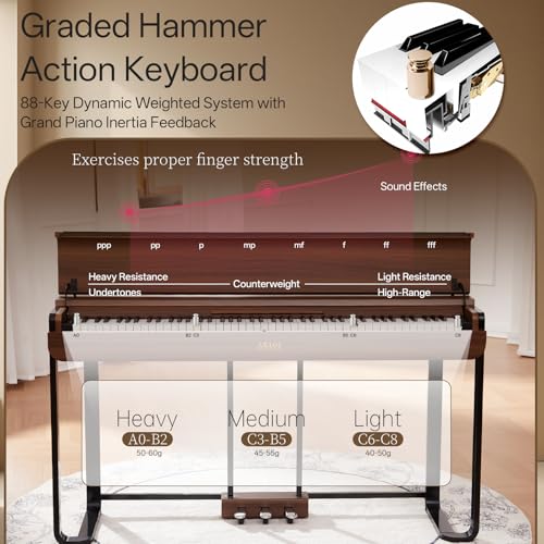 88-Key Graded Hammer Action Digital Piano Z2070