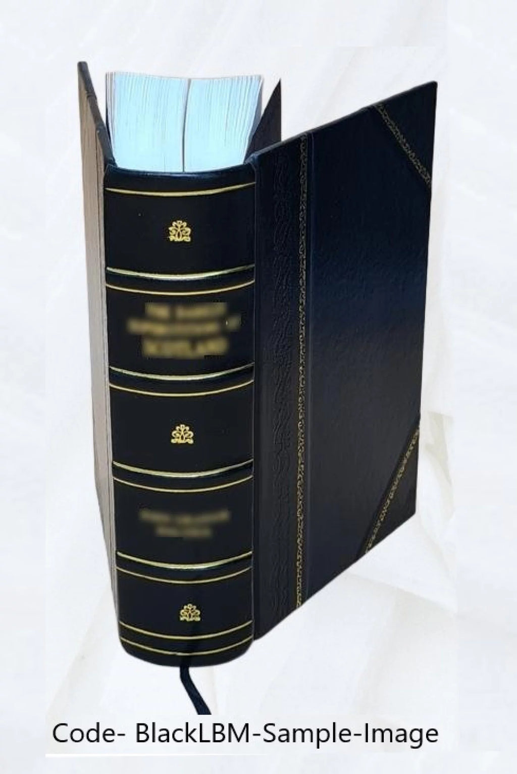 Leather Bound Book F996799