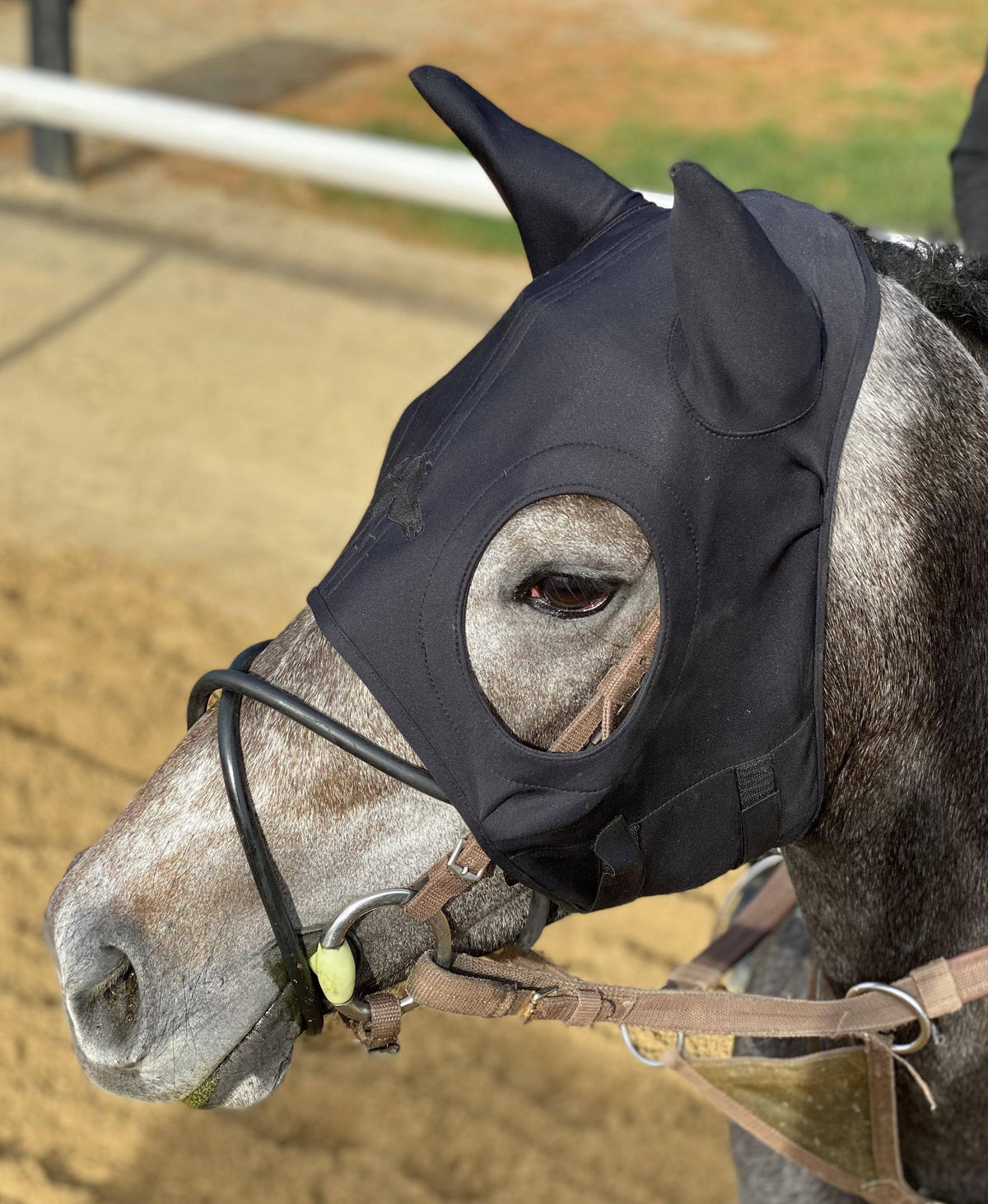 Black Velcro Mask with Ears Medium S5490