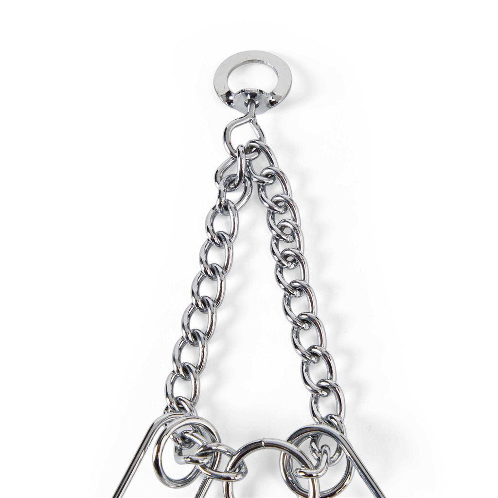 Classic Training Dog Collar Y571952