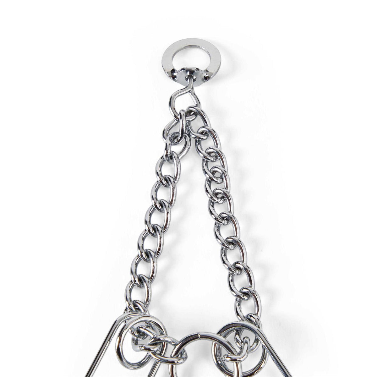Classic Training Dog Collar Y571952