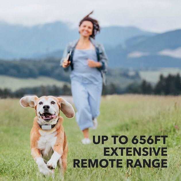 Dog Training System M779