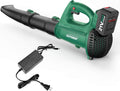 21V Cordless Handheld Leaf Blower with 4.0Ah Battery Q1991