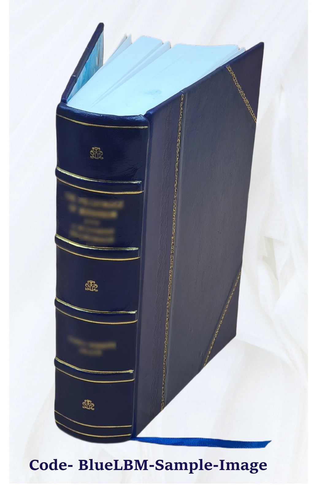 Leather Bound Book F996799