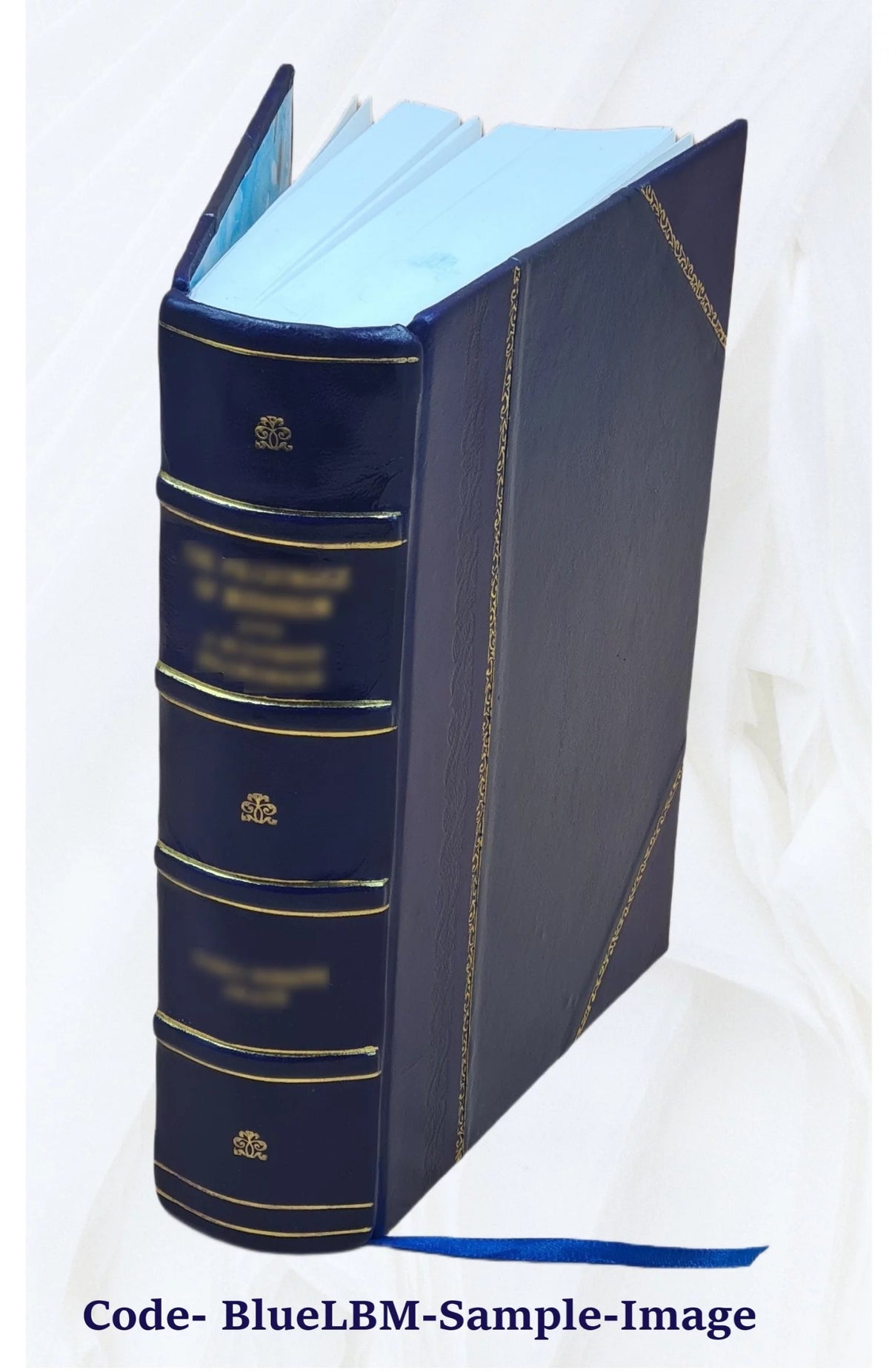 Leather Bound Book F996799