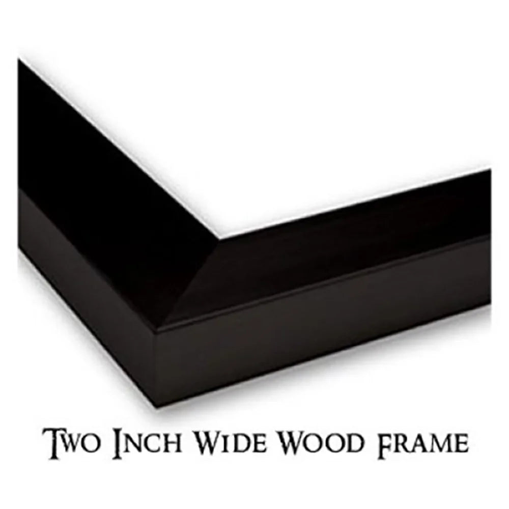 Black Modern Framed Museum Art Print T7131