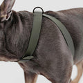 Dog Harness Dog Leash P168