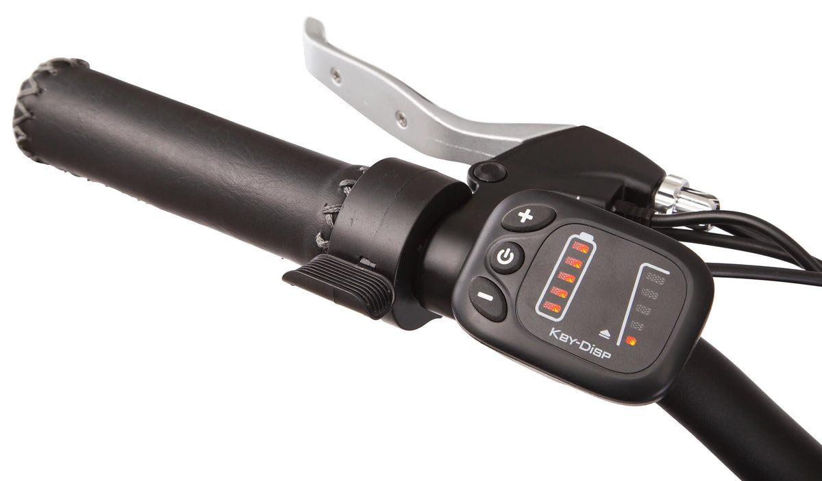 26 Low Step Cruiser Electric Bike 7 Speeds 250w Black N4584
