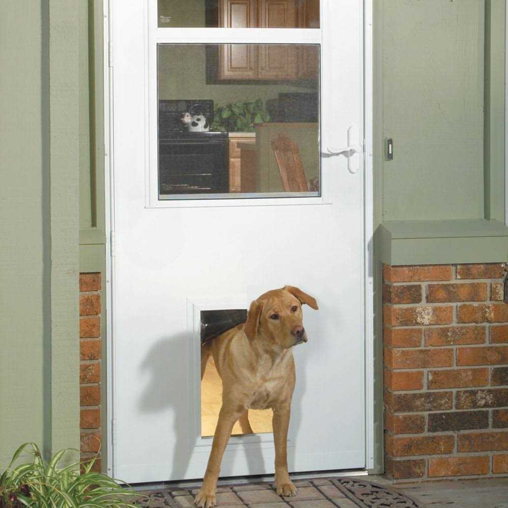 Pet Storm Door G805