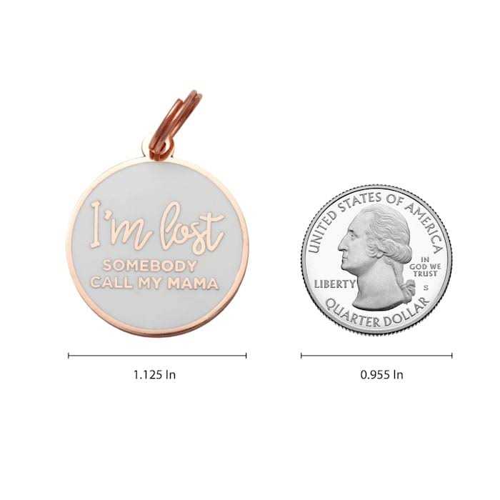 Rose Gold & White Pet ID Tag A744