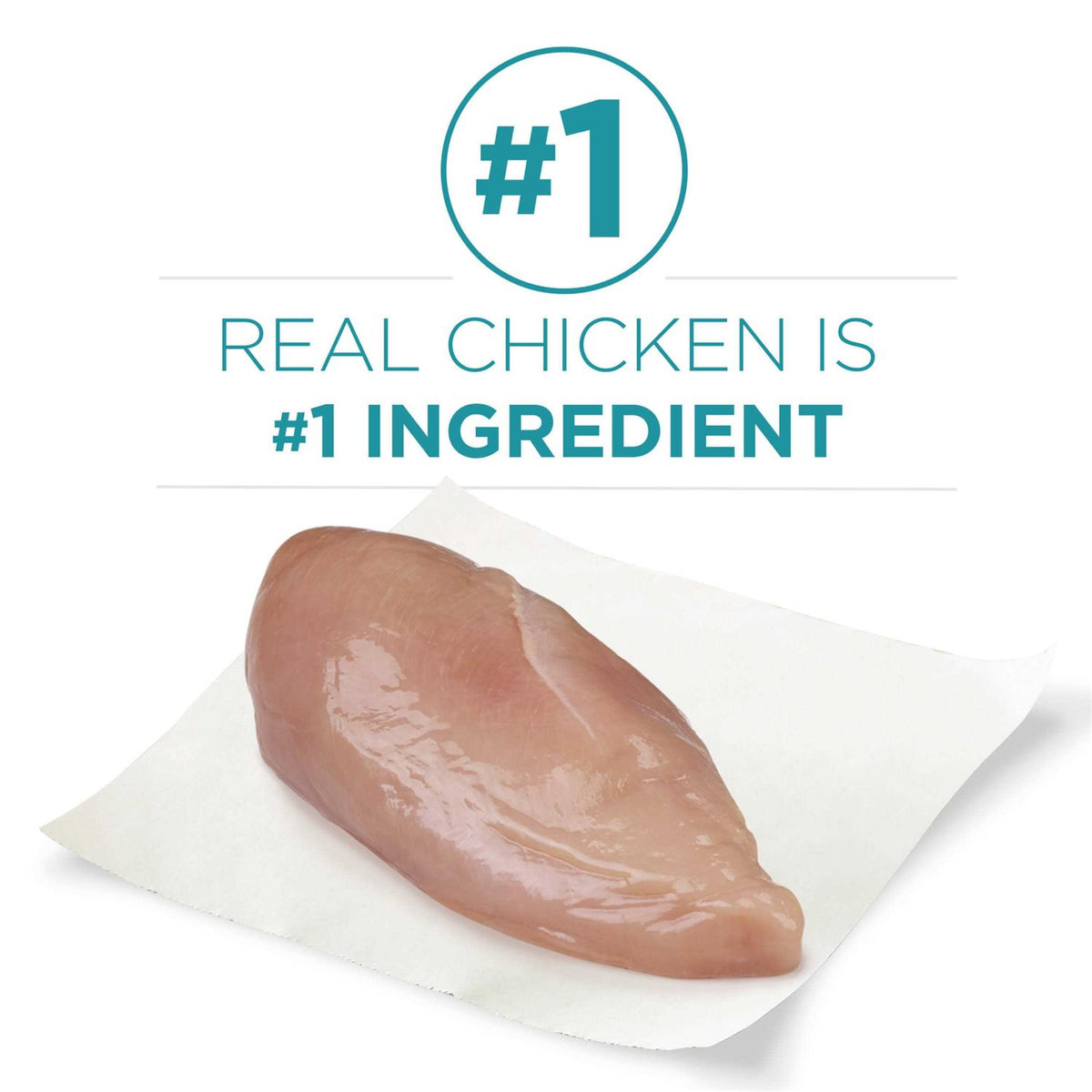 Dry Cat Food With Real Chicken I8989