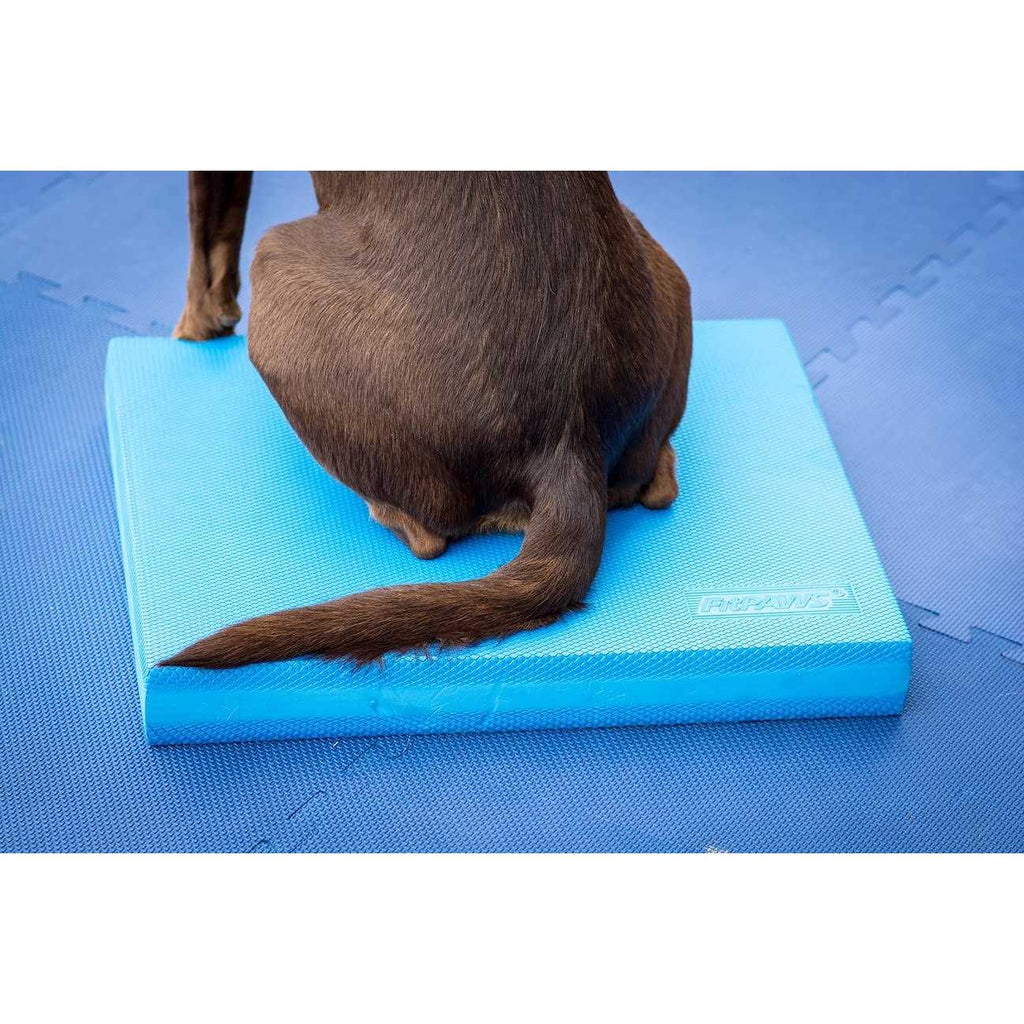 Balance Pad I244
