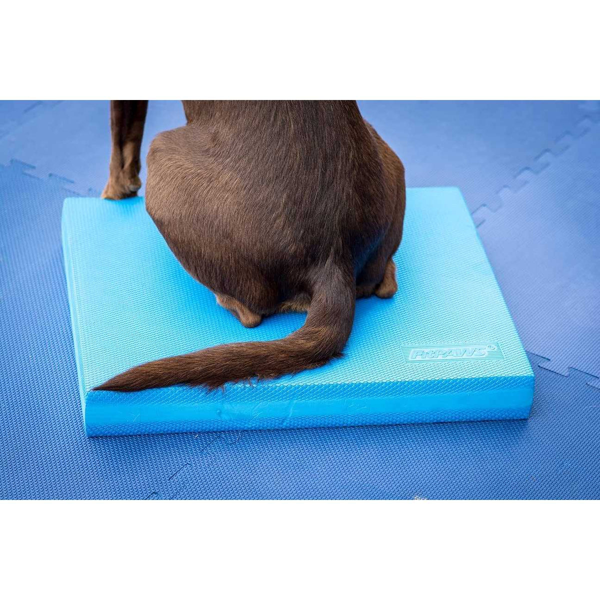 Balance Pad I244