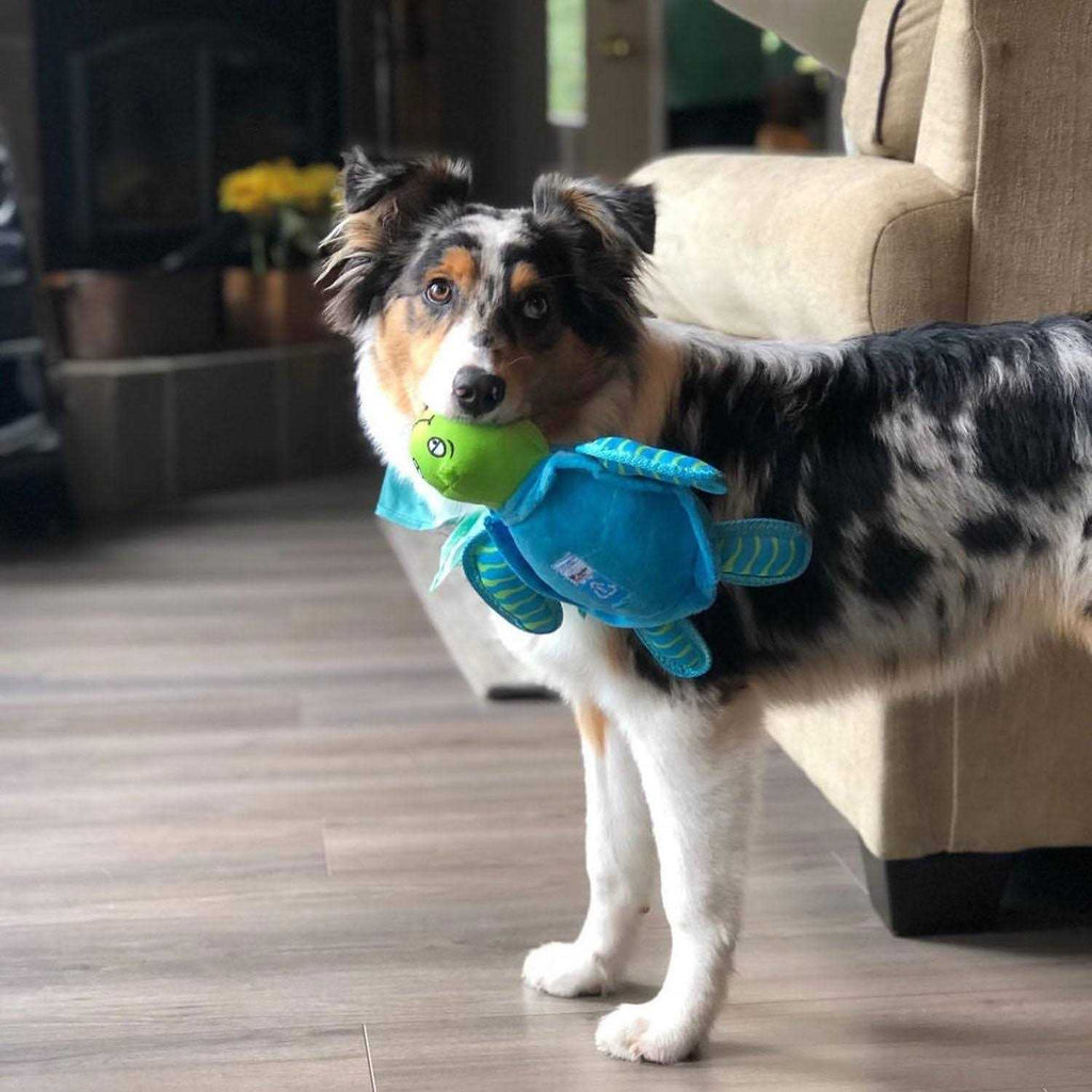 Plush Turtle Dog Toy H31869