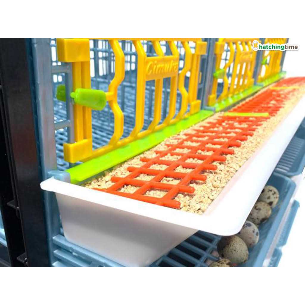 Partridge Cage 1 Layer G747877