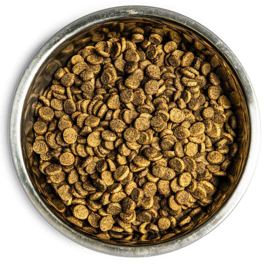 Dry Dog Food G268045