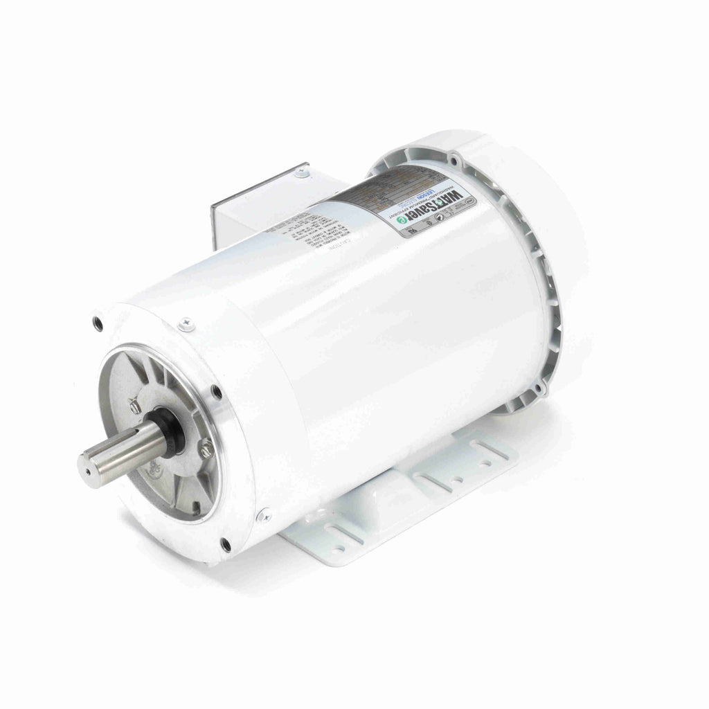 Washdown Motor V769944