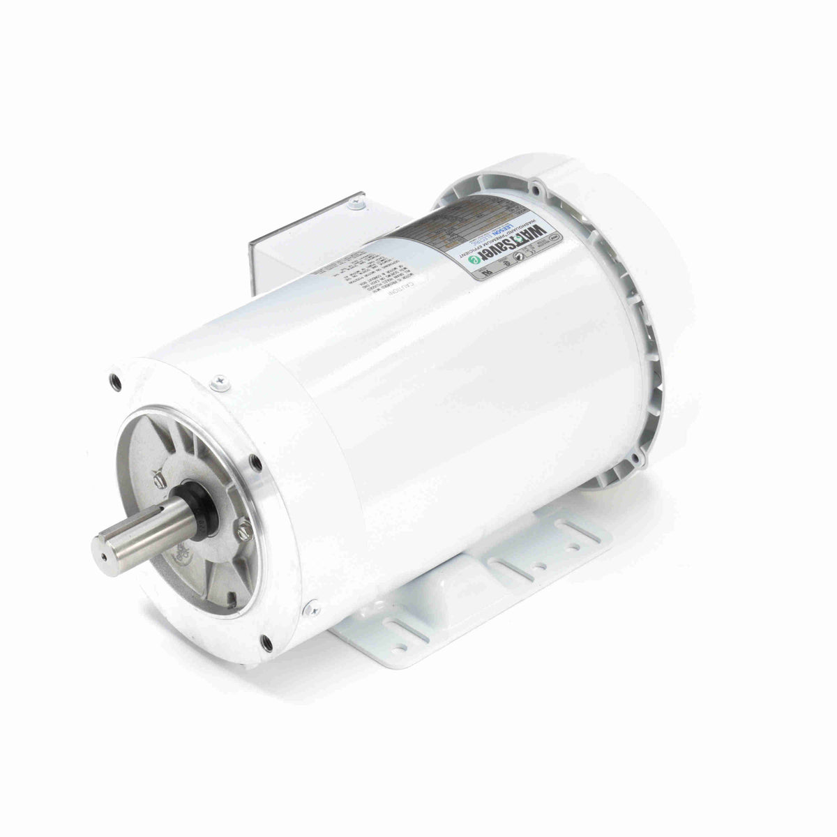 Washdown Motor V769944