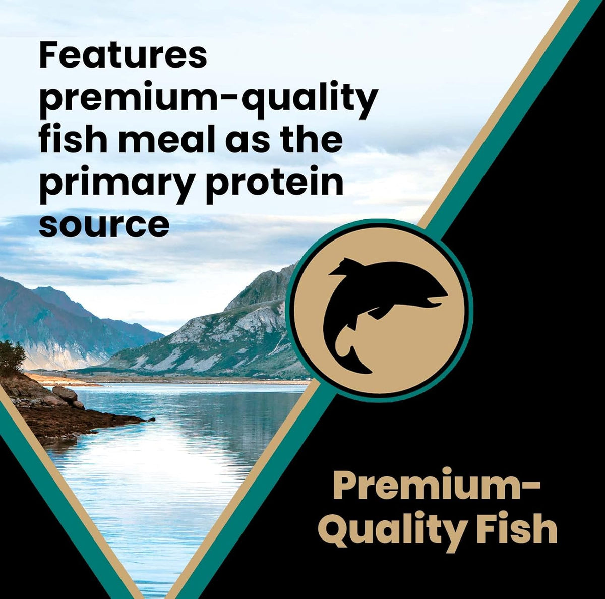 Gluten Free Dry Dog Food Ocean Fish Formula 15lbs W65071