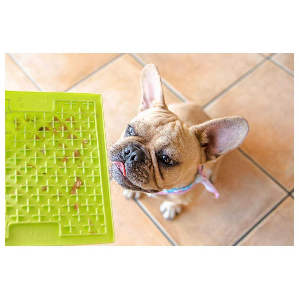 LickiMat Buddy A670346