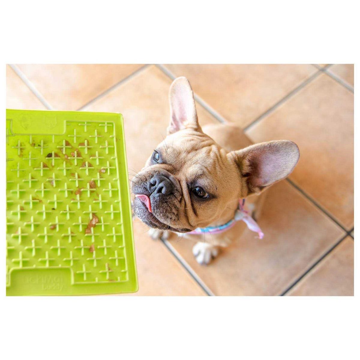 LickiMat Buddy A670346
