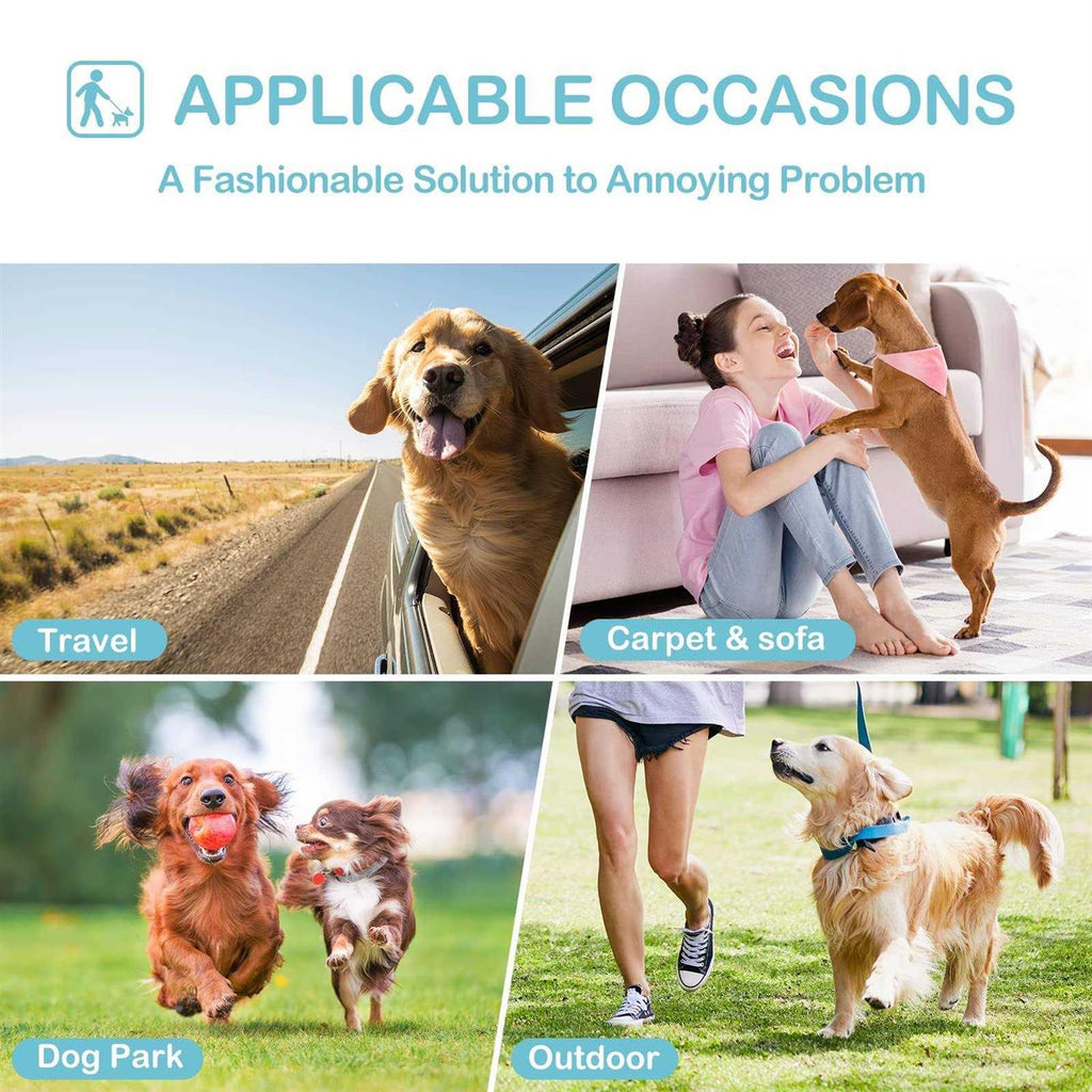 3 Pack Washable Reusable Dog Diapers C262887