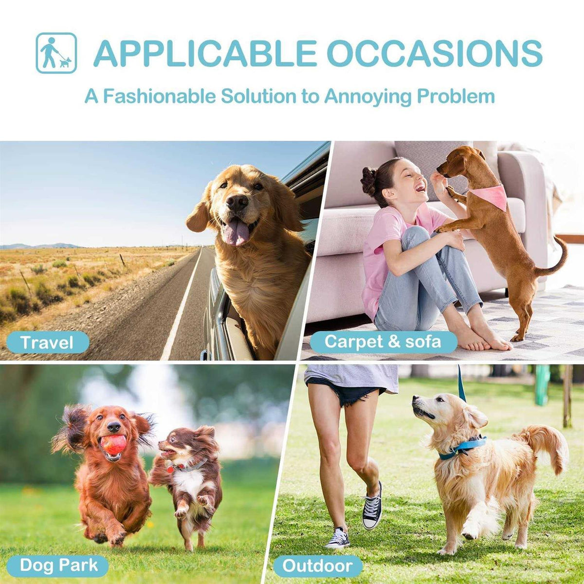 3 Pack Washable Reusable Dog Diapers C262887