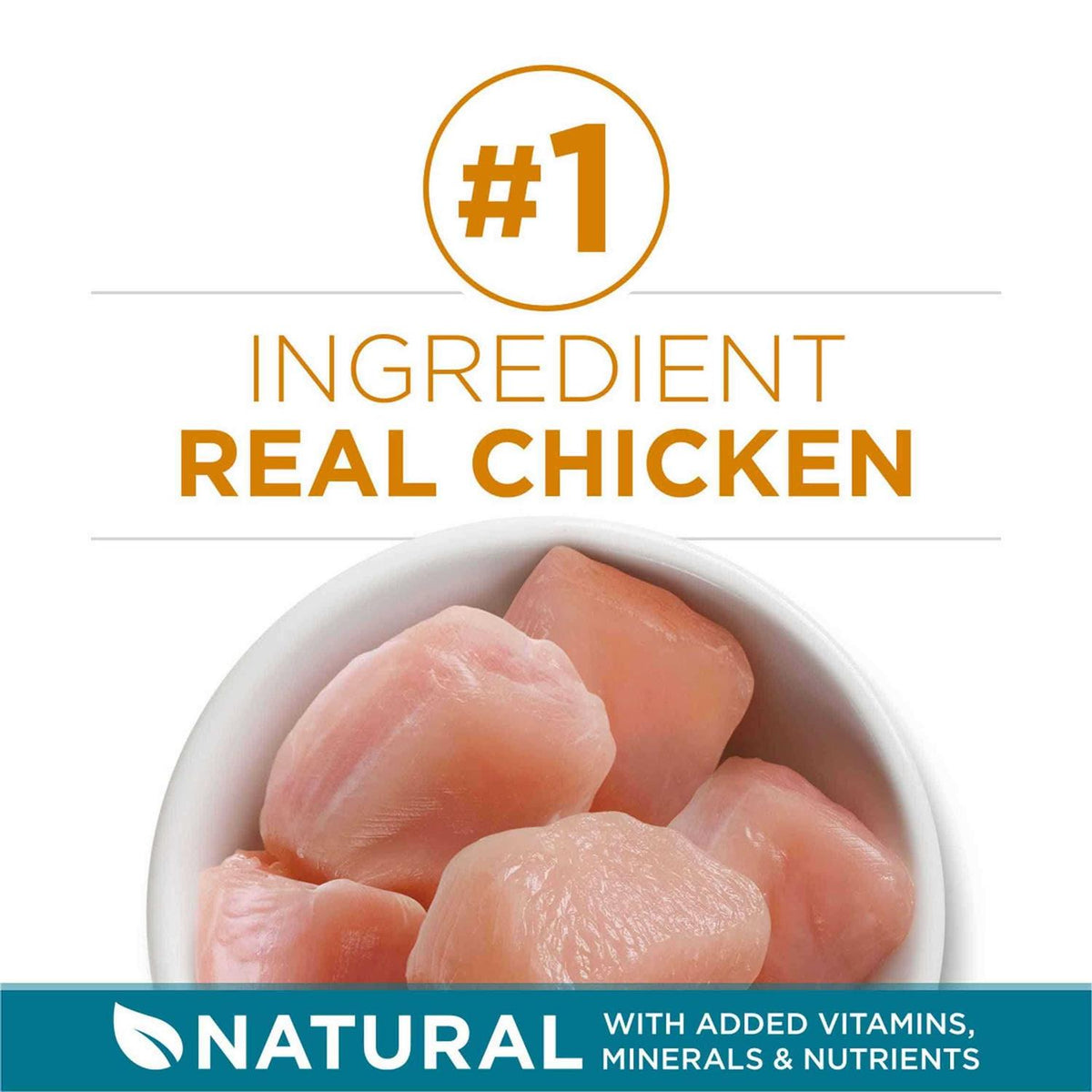 Dry Cat Food With Real Chicken I8989