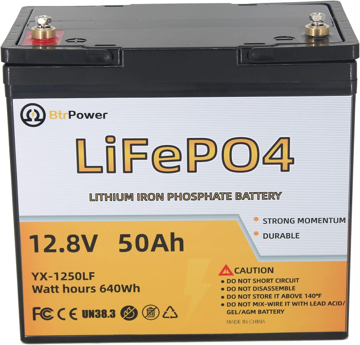12V 100AH Lithium LiFePO4 Battery with Built-in 100A BMS P77569