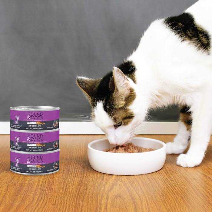 Canned Cat Food 5.5oz Liver G567
