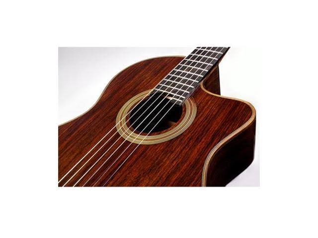 Rose Acoustic-Electric Classical Guitar M71271
