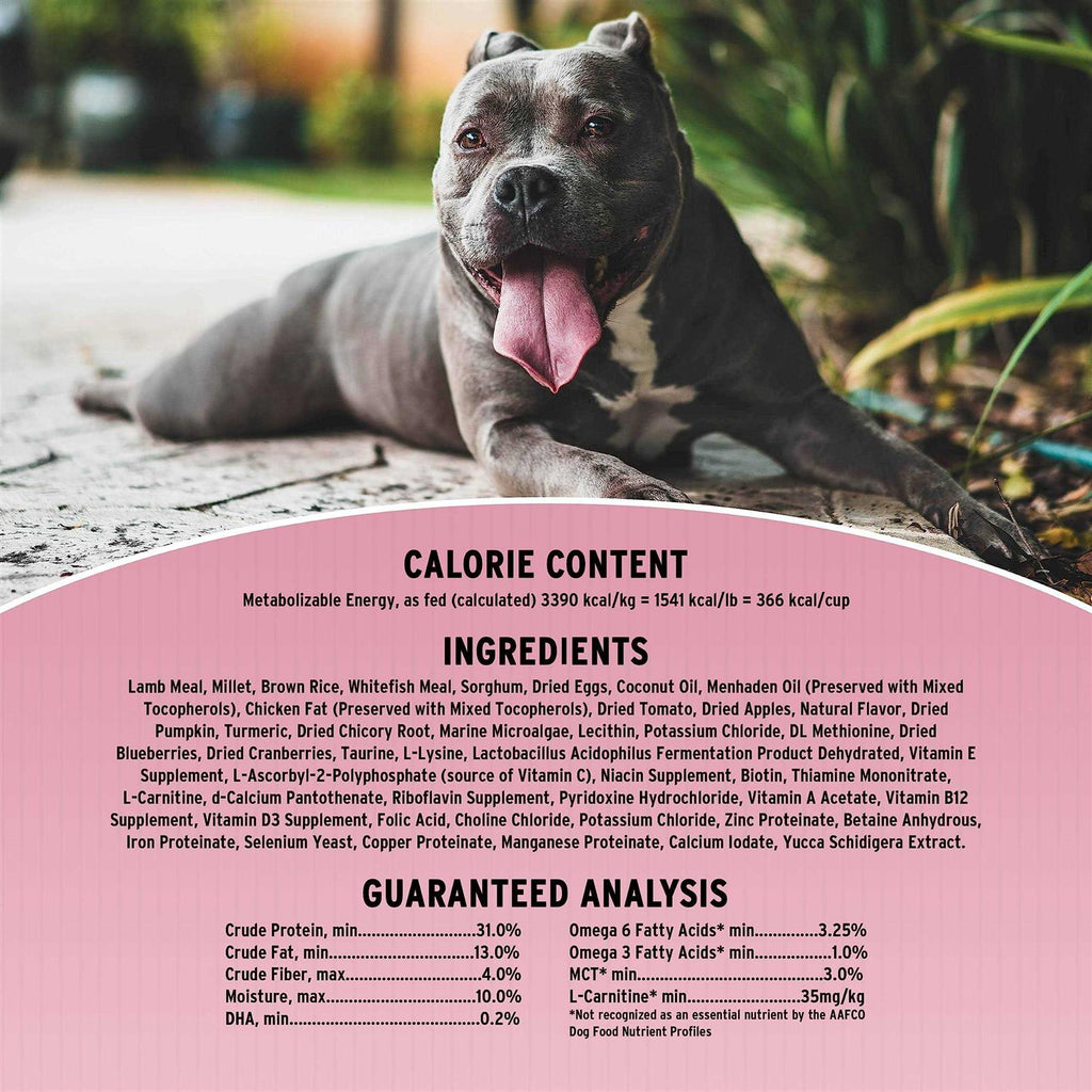 Original Sensitive Skin & Stomach Dry Dog Food Q67587