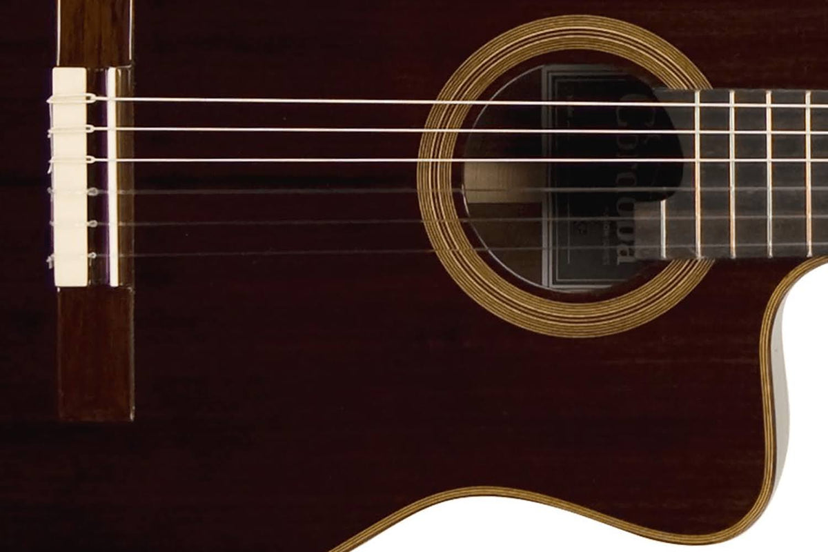 Rose Acoustic-Electric Classical Guitar M71271