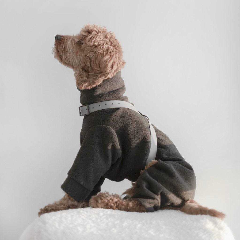 Dog Harness Dog Leash P168