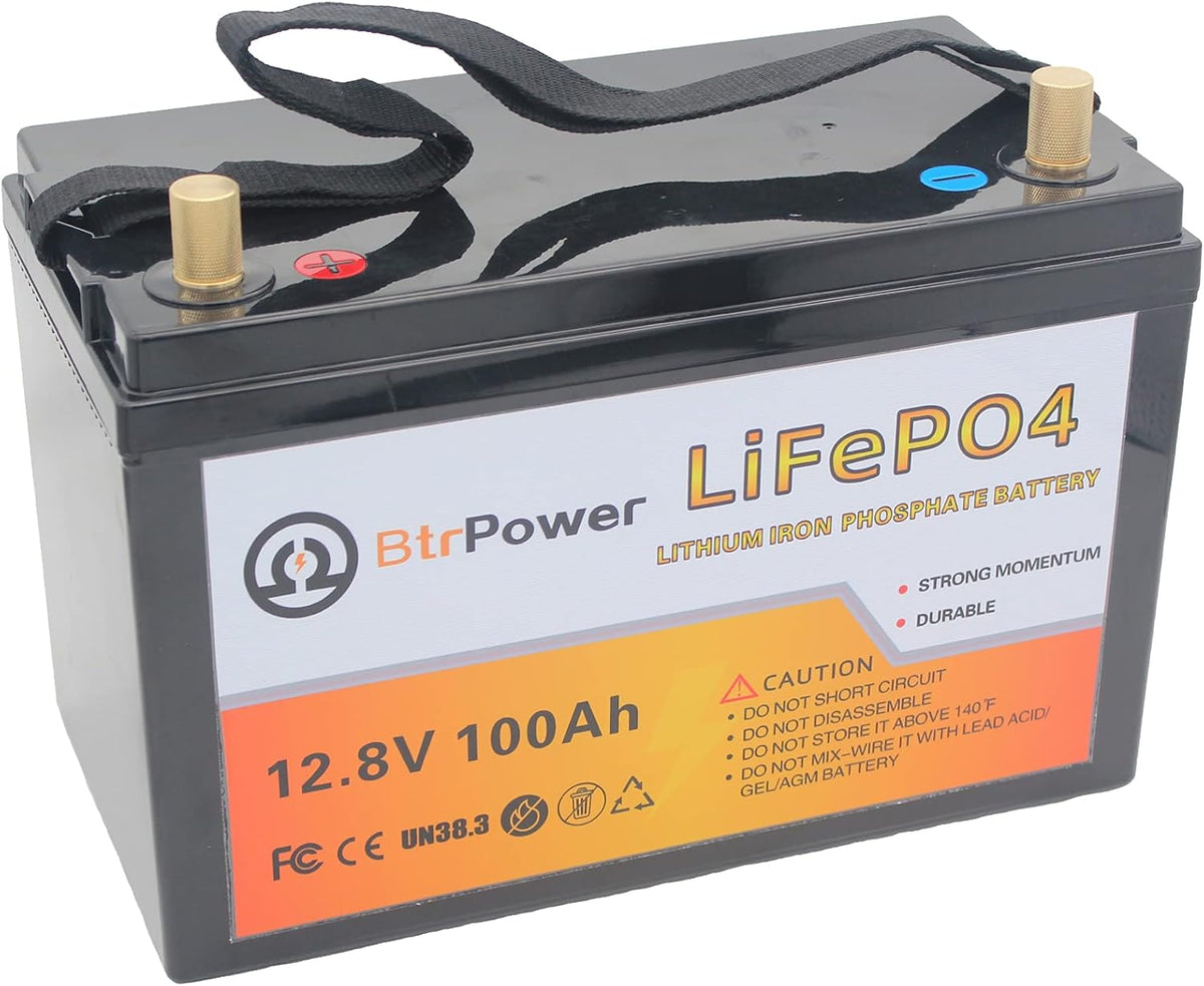 12V 100AH Lithium LiFePO4 Battery with Built-in 100A BMS P77569