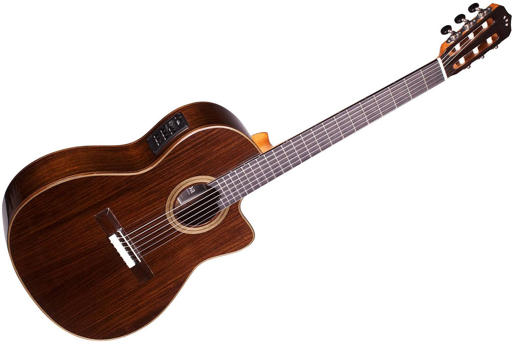 Rose Acoustic-Electric Classical Guitar M71271